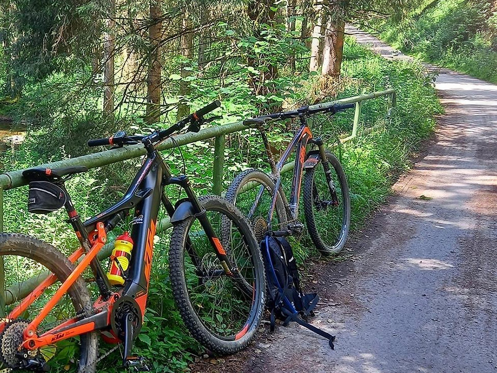 Bike rental